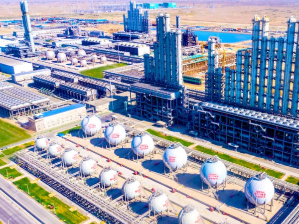 新疆东方希望新能源有限公司