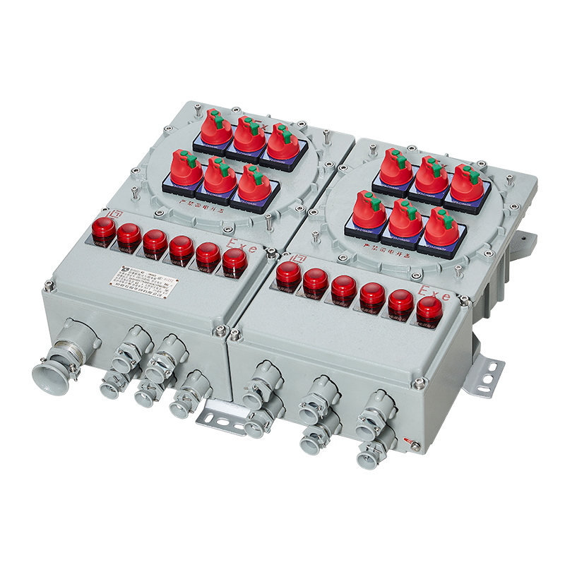 BXM(D)62系列 防爆照明（动力）配电箱（ⅡB、ⅡC、ⅢC）